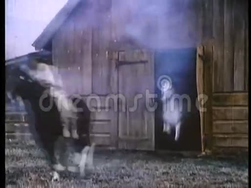 印第安人骑马逃离燃烧的牧场视频的预览图
