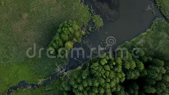 在沼泽地形和草地上进行空中拍摄视频的预览图