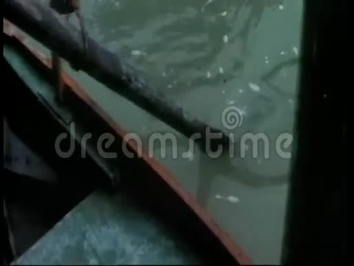 中型男子划船视频的预览图