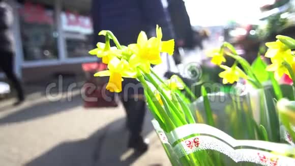 花街城人视频的预览图