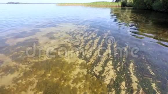 夏季湖泊和底部景观与藻类通过清澈的水视频的预览图
