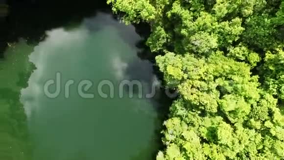照相机低垂在湖面上视频的预览图