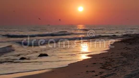 鸟儿在海滩上飞翔海上日落背景视频的预览图