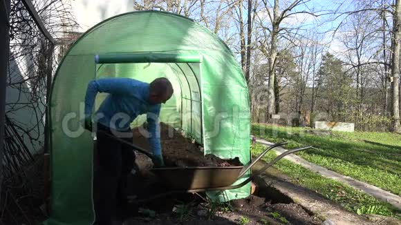 园丁把腐烂的堆肥从手推车运到温室4K视频的预览图