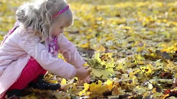 快乐的女孩在玩黄色的秋天枫叶视频的预览图
