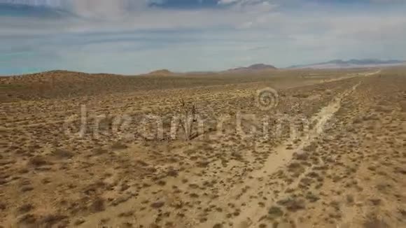 沙漠树兴趣点无人机视频的预览图