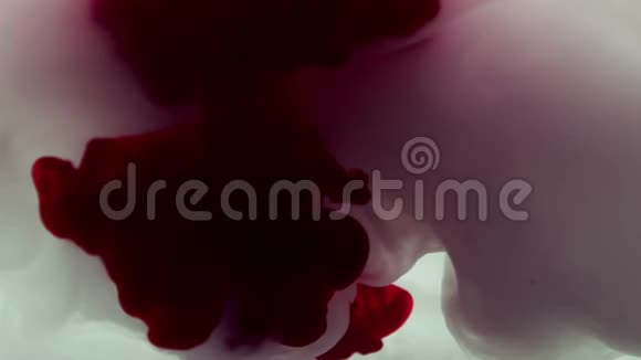 红色和紫色的墨水在水中旋转视频的预览图