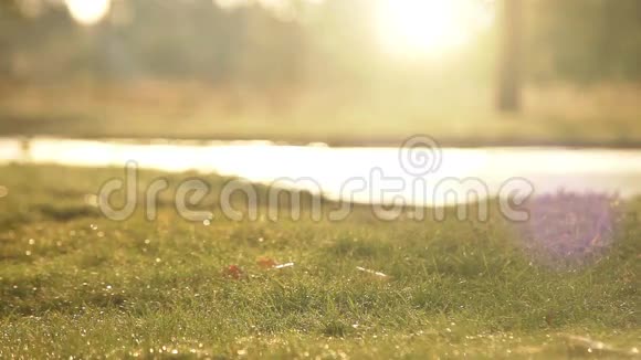 清晨明媚的春光和一个男人慢跑视频的预览图