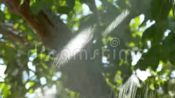 花园淋浴的喷水器视频的预览图