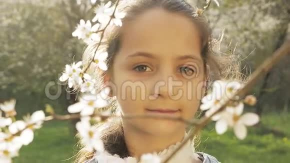快乐的孩子坠落的花瓣树视频的预览图