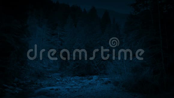 夜晚的荒野之河视频的预览图