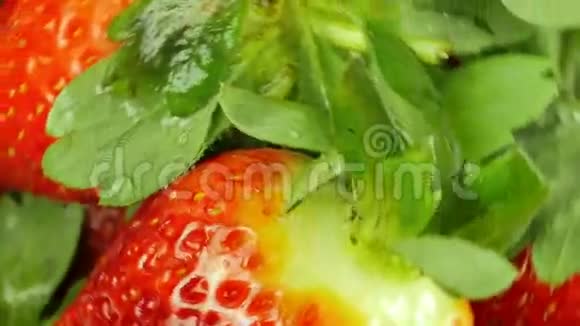 白色背景下旋转草莓的宏观自顶向下视图视频的预览图