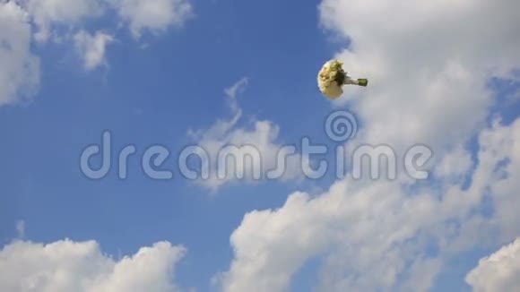 在多云的天空背景下美丽的新娘花束为婚礼举行视频的预览图