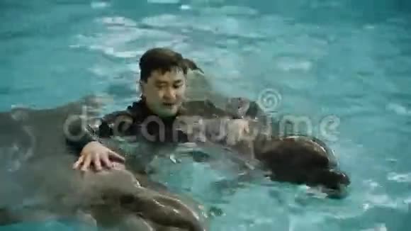 亚洲人和海豚一起游泳视频的预览图
