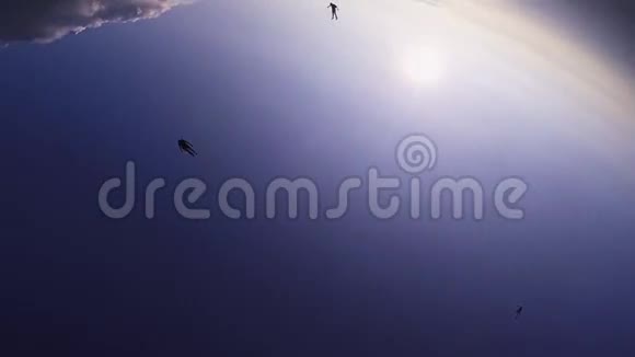 专业跳伞员在空中打开降落伞飞在绿色的田野上高空视频的预览图