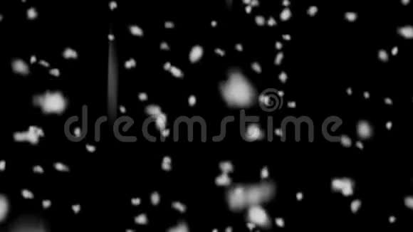 黑色背景下从上面落下的大片雪花动画视频的预览图