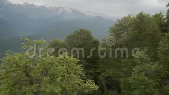 鸟瞰美丽的山湖和美丽的森林视频的预览图