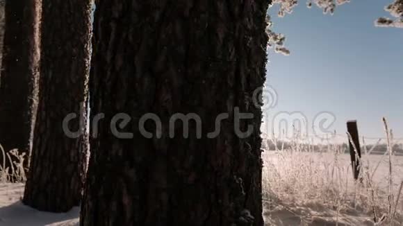 摄像机从左到右移动拍摄一幅带有树干和田野的冬季景观视频的预览图