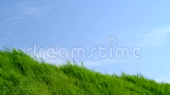 夏季有蓝天的草地背景材料视频的预览图
