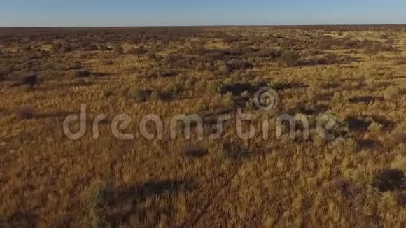 日落时纳米比亚大草原的领土视频的预览图