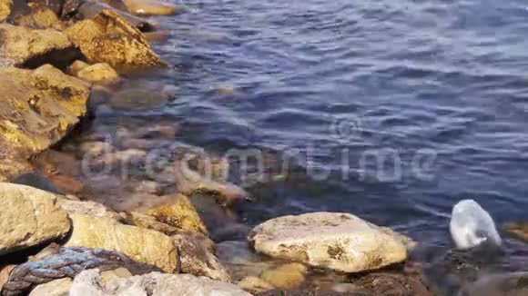 巴库河岸石头附近里海的垃圾漂浮物视频的预览图