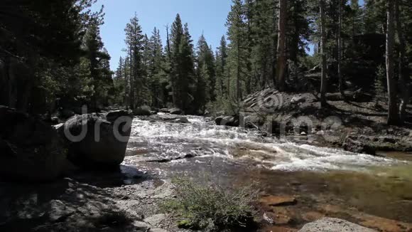 松树和岩石之间的小河视频的预览图