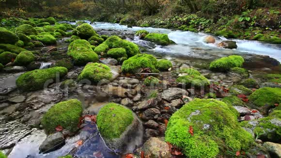 秋天从山上流出的清新的河流视频的预览图