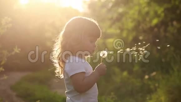 可爱的小女孩吹在蒲公英上视频的预览图