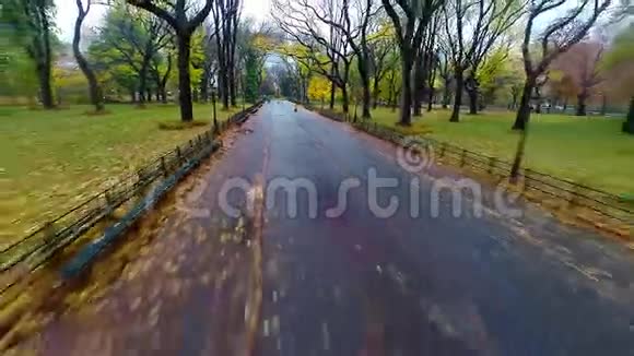 秋季中央公园文艺漫步视频的预览图