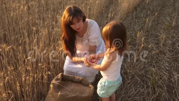 母亲和小孩正在麦田里玩袋子里的谷物快乐的农夫妈妈和小儿子玩视频的预览图