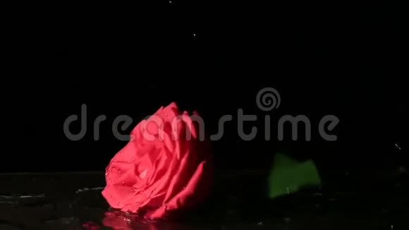 玫瑰掉进水里了慢动作视频的预览图