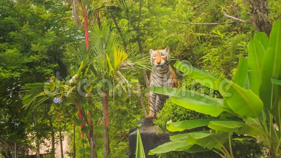 越南公园绿植中老虎的大模型视频的预览图