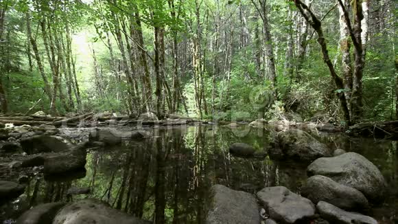 高清晰度电影沿风景步道水反射到干溪瀑布在级联岩石俄勒冈州1080p视频的预览图