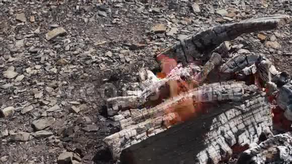 舒适的篝火燃烧成灰烬在岩石地上燃烧的火焰视频的预览图