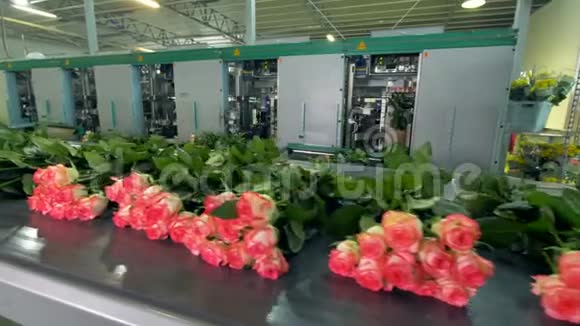 花卉工厂正在整理花卉视频的预览图
