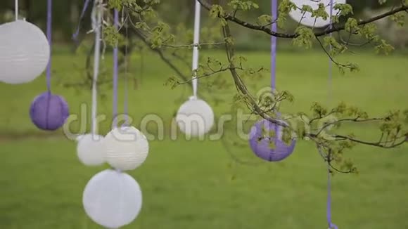 婚礼装饰品树上的白色中国灯笼视频的预览图