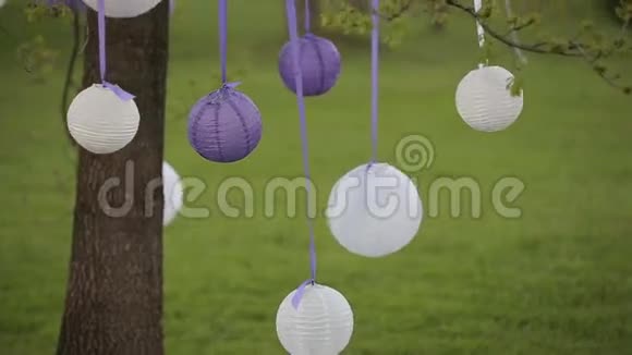 婚礼装饰品树上的白色中国灯笼视频的预览图