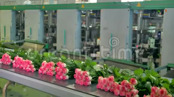 花卉工厂正在整理花卉视频的预览图