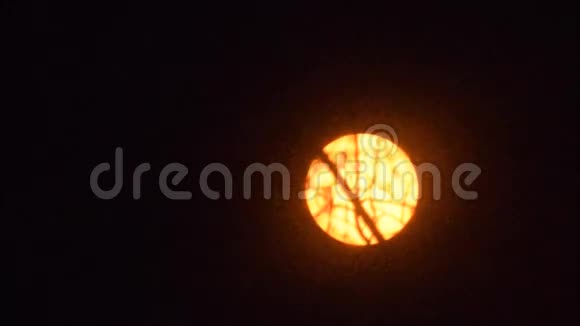 日落与平面移动橙色过滤了视频的预览图