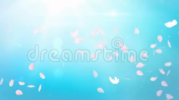 樱花花瓣和白蝶在浪漫的抽象背景上旋转加载4K运动图形视频的预览图