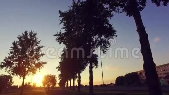 沿着一条街走斯坦迪卡姆日落景观树木和天空视频的预览图
