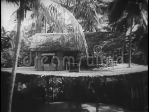 广拍热带树屋视频的预览图