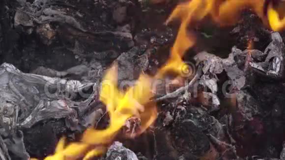 钢桶里的垃圾火灾视频的预览图