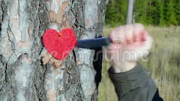 在森林里的树上用刀子靠近织物的心视频的预览图