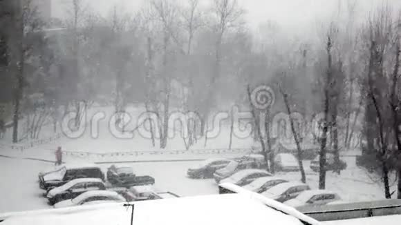 城市大雪视频的预览图