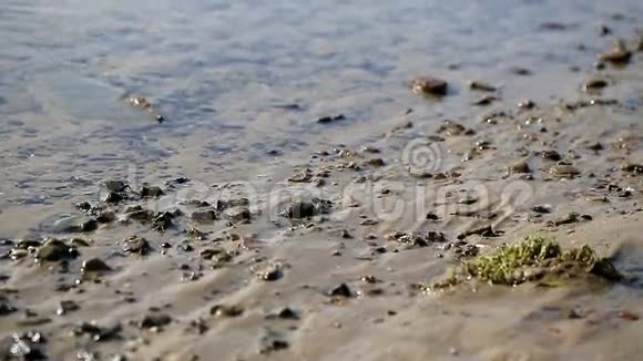坐潮波浪在泥泞的海岸上翻滚视频的预览图
