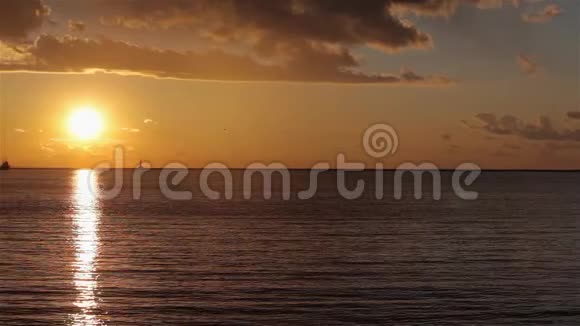 日落时在海港的起重机海港附近的港口美丽的海景日落时的大型海港视频的预览图