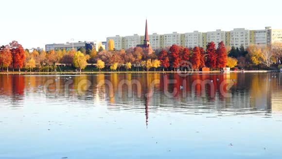秋天的下午在一个公园里有东正教的塔海鸥街区湖视频的预览图