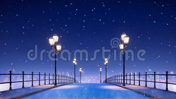 4K冬季雪夜路灯点亮的桥视频的预览图