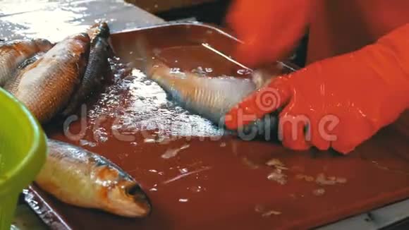 女人在鱼市清洗和切鲜鱼视频的预览图